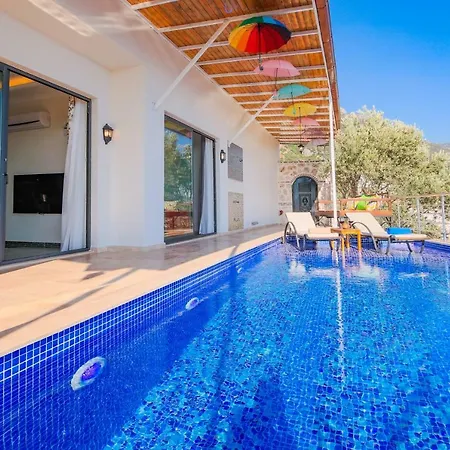 Gelincik- Hill * Kalkan